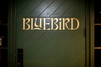 VIDS Bluebird - Nov 18